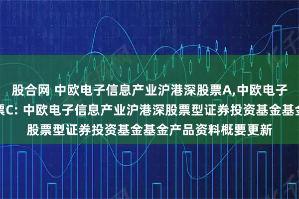 股合网 中欧电子信息产业沪港深股票A,中欧电子信息产业沪港深股票C: 中欧电子信息产业沪港深股票型证券投资基金基金产品资料概要更新