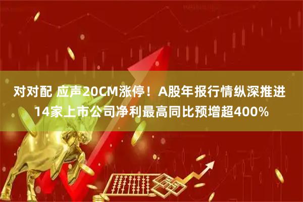对对配 应声20CM涨停！A股年报行情纵深推进 14家上市公司净利最高同比预增超400%