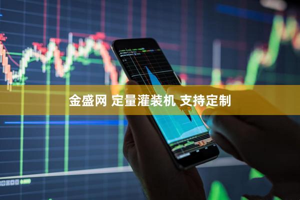 金盛网 定量灌装机 支持定制